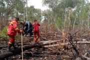 Lebih dari sepekan akhirnya Manggala Agni tuntaskan operasi pemadaman karhutla di Bengkalis