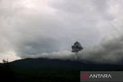 Gunung Lewotobi Laki-laki di Flores Timur kembali meletus