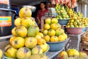 Pemkab Sumedang dorong komoditas mangga dan cabai di program HDDAP
