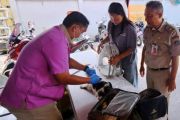 Sudin KPKP Jakbar vaksinasi puluhan hewan penular rabies di Tambora