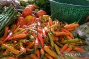 Cuaca pengaruhi harga cabai rawit merah di Purwokerto