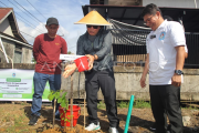 Aksi menanam pohon untuk Kalimantan Barat