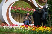 Mengunjungi festival bunga tulip di Istanbul, Turki