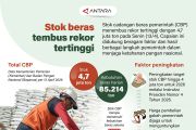 Stok beras tembus rekor tertinggi