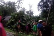 BPBD Agam: angin puting beliung rusak dua rumah, satu tertimpa pohon