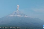 Mount Semeru erupts five times, ash reaches 1.2 km