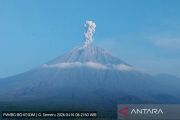 Semeru erupsi lima kali dengan tinggi letusan hingga 1.200 meter