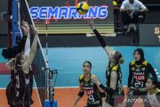 Proliga seri Semarang, tiga tim bersaing ketat perebutkan tiket grand final
