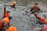 Ikan sapu-sapu yang ditangkap segera dikubur karena tak layak konsumsi