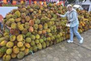 Indonesia telah ekspor 4.077 ton durian beku ke China tahun Ini