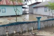 BPBD Sulteng lakukan pendataan dampak banjir rob di Buol dan Banggai Laut