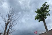 BMKG: Waspada hujan ringan hingga lebat di Sultra hari ini