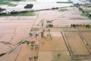 Indonesia pushes rapid farmland recovery after Sumatra floods