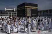 Seluruh jamaah haji Indonesia ditempatkan di Markaziyah Madinah