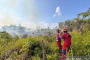 BPBD Kaltim minta warga aktif laporkan karhutla