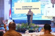 Pemprov Papua susun langkah strategis kerja sama daerah