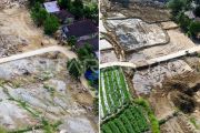 Rehabilitasi sawah rusak pascabencana di Padang