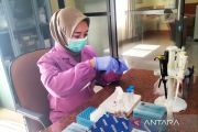 Balai Karantina NTB perketat pengawasan ternak melalui uji PCR
