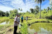 PLN UIP3B Sumatera Siap Salurkan Electrifying Agriculture, Harapan Baru Pembudidaya Ikan di Padang Pariaman