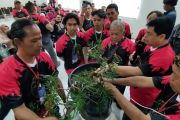 Merangkai bonsai, menumbuhkan peluang dari tanaman mini