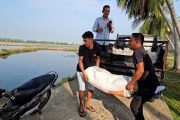 Kelompok tani penyintas bencana di Lhokseumawe terima bantuan benur