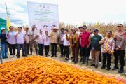 Kadin perluas program pendampingan kepada petani di Papua