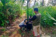 Pertama, Pemkab Agam raih Penghargaan Manggala Karya Kencana dari BKKBN RI