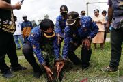 Disdikbud Papua Pegunungan tanam 100 pohon di SMA Kristen Wamena