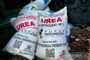 Mentan: Kebijkan Presiden turunkan harga pupuk 20 persen jaga produksi