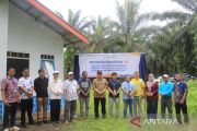 Pemkab Pasaman Barat jalankan program "brondol sawit" atasi stunting