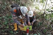 PLN Survei Jalur Transmisi GI Tanjung Redeb-PLTG Kaltim/Kaltara