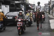 ASN Tasikmalaya berangkat kerja menunggang kuda saat car free day khusus ASN