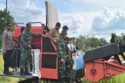 Bupati Bartim pimpin panen padi gunakan Combine Harvester di Kalamus