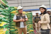 Anggota DPR RI tinjau gudang Bulog Lamsel pastikan stok pangan terjaga