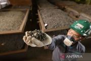 Indonesia and Philippines launch massive "Nickel Corridor" deal