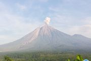 Gunung Semeru 3 kali erupsi setinggi 800 meter