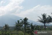 Pemkab Kuningan kembangkan kelapa jadi komoditas unggulan daerah