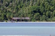 Pemprov: Mentawai perkokoh identitas jadi lokasi selancar kelas dunia