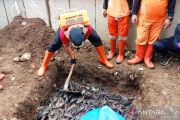 KPKP DKI soroti temuan kandungan bakteri berbahaya ikan sapu-sapu