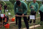 Menteri PKP tanam pohon di Lampung