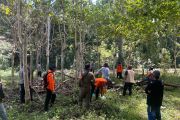 Lansia di Bone hilang di perkebunan, keluarga cemas