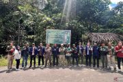 Polda PBD dan BKSDA lepas liarkan 17 satwa liar endemik Papua