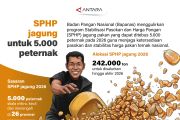 SPHP jagung untuk 5.000 peternak
