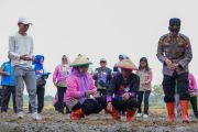 Pemkot Jaktim targetkan panen 20 ton padi dari gerakan tanam serentak