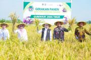 Pemprov Jatim targetkan produksi padi naik hingga 5 persen pada 2026
