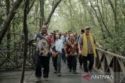 Dana hibah program M4CR untuk kembangkan ekowisata mangrove Penajam