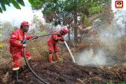 Manggala Agni berjibaku padamkan karhutla di Pelalawan Riau