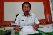 Pemkab Agam turunkan petugas periksa kesehatan hewan kurban