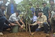 KLH gandeng buruh hijaukan hulu Bandung dengan tanam 12.000 pohon