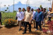 Menaker: Pelatihan agroforestri kembangkan usaha berbasis potensi desa